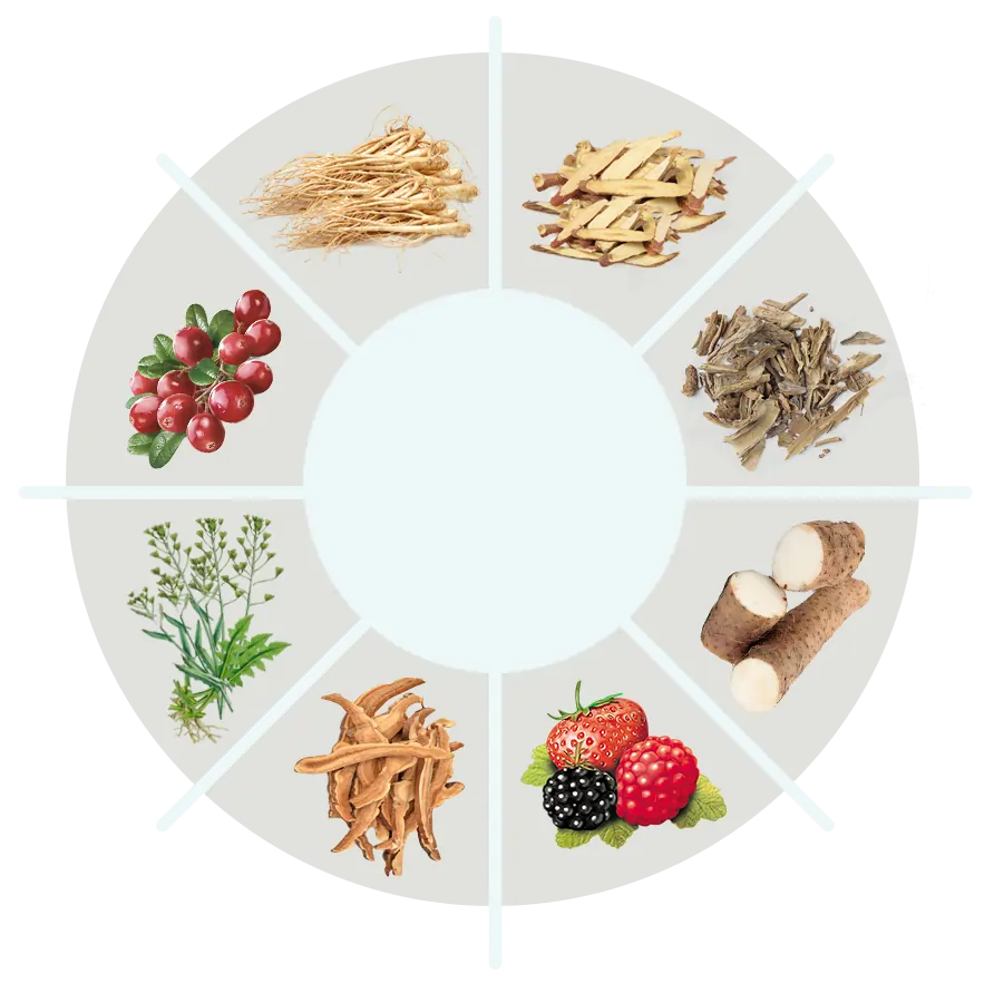 Collage of natural plant extracts and vitamins used in the formula